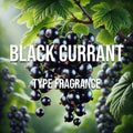 Black Currant Type Diffuser Oil