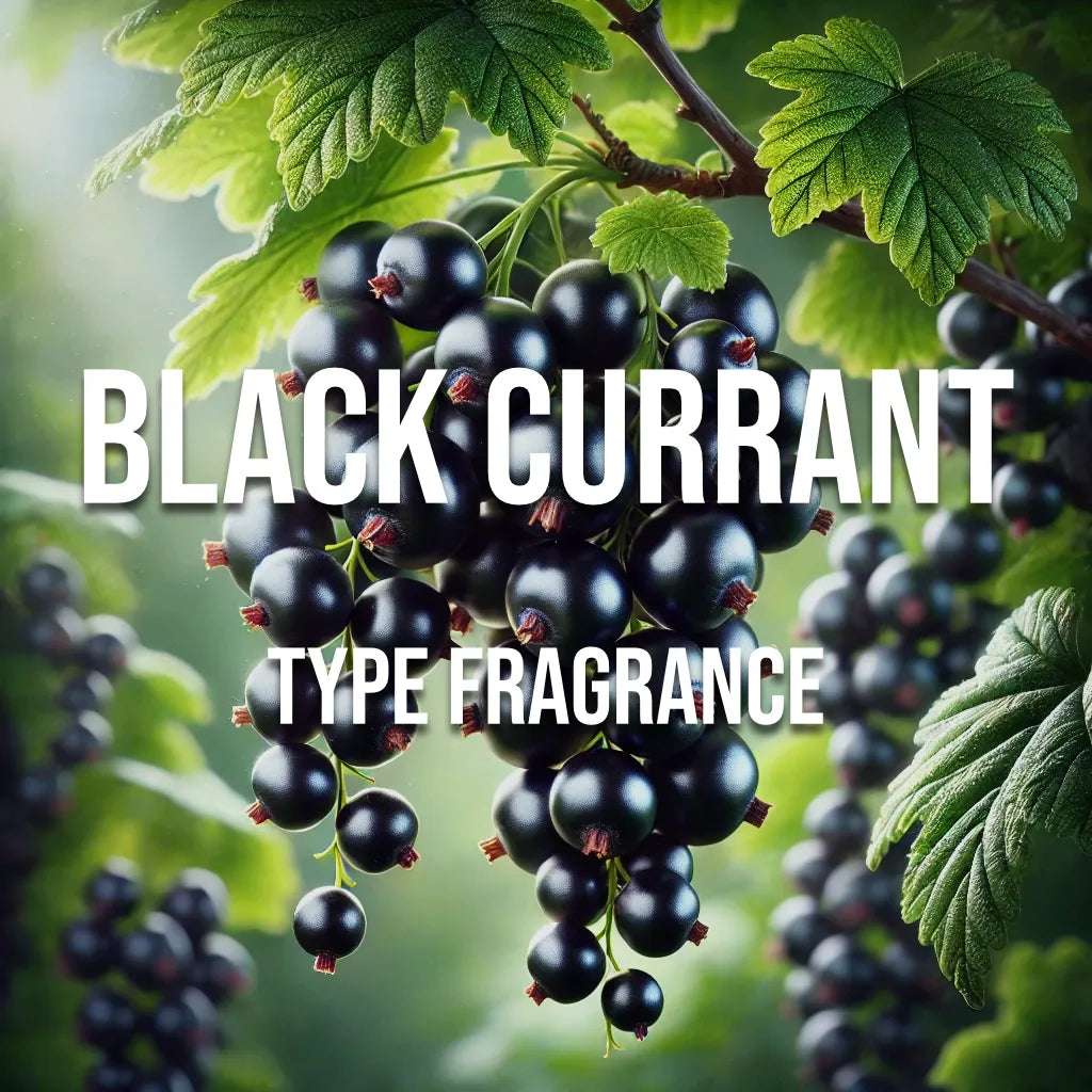 Black Currant Type Diffuser Oil